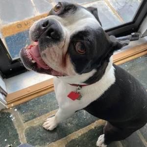 Meet your Posher, Debbie